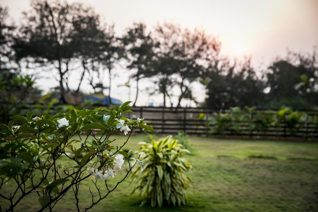 Casa Cubo By The Beach Calangute Exterior photo